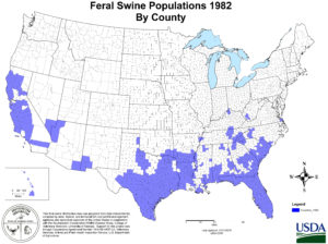 Map of the United states displaying feral hog distribution by county in 1982.