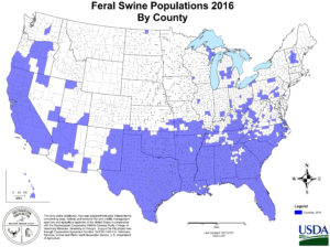Map of the United states displaying feral hog distribution by county in 2016